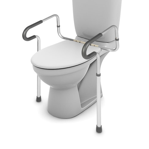 LUCKYREMORE Toilet Safety Frame Wayfair